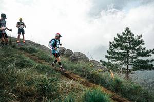 BIB: 
                            <button type="button" onclick="openModal(26016547)" class="btn btn-primary btn-sm float-right btn-popup" data-toggle="modal" data-target=".modal-high-quality">
                        <i class="fas fa-shopping-cart"></i> Add to Cart
                    </button>
                                            <button type="button" onclick="isThisMe(26016547, true)" class="btn btn-success btn-sm float-right btn-popup btn-isme hidden" data-toggle="tooltip" data-placement="bottom" title="นี่คือรูปของคุณใช่ไหม คลิกที่นี่เพื่อเอาเข้าอัลบั้ม">
                        <i class="fas fa-plus"></i> Add to album
                    </button>
                    <button type="button" onclick="isThisMe(26016547, false)" class="btn btn-warning btn-sm float-right btn-popup btn-isnotme hidden">
                        <i class="fas fa-ban"></i> Remove from album
                    </button>